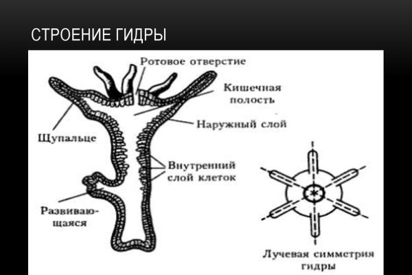 Кракен даркнет только через тор скачать