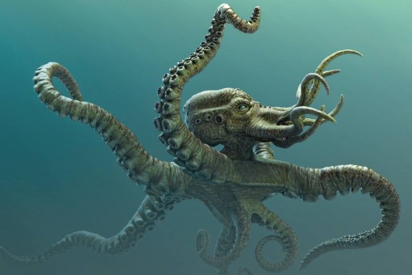 Кракен маркетплейс ссылка krakenat2krnkrnk com