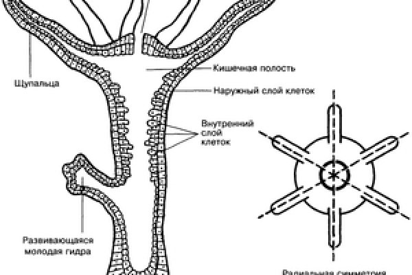 Ссылка на кракен реальная