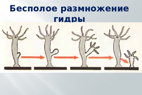 Купить наркоту