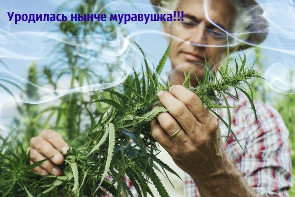 Кракен 17 вход