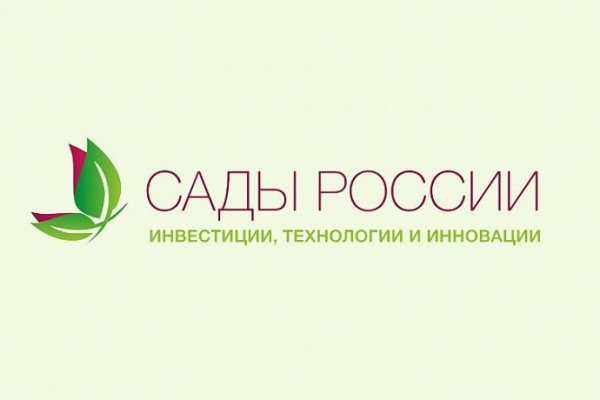 Kraken актуальное