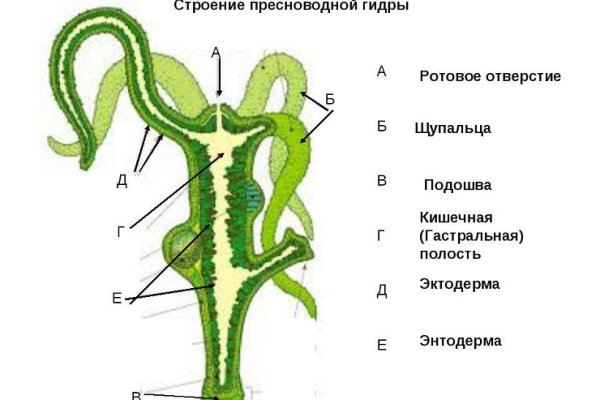 Кракен даркнет только через