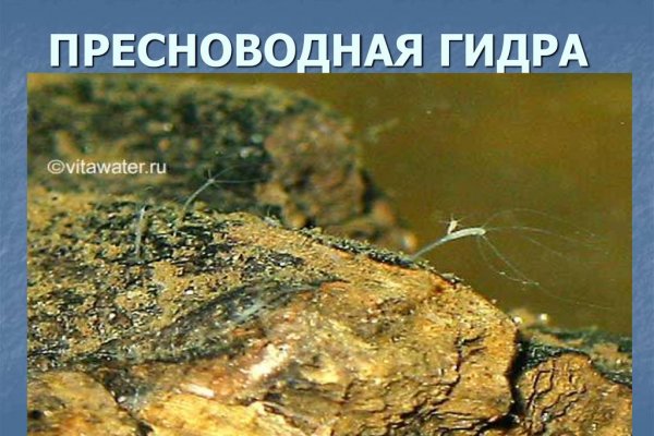 Ссылки на кракен com