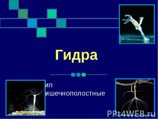 Кракен вход kr2web in