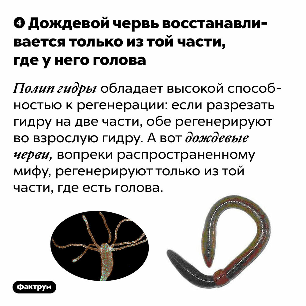Кракен ссылка что это