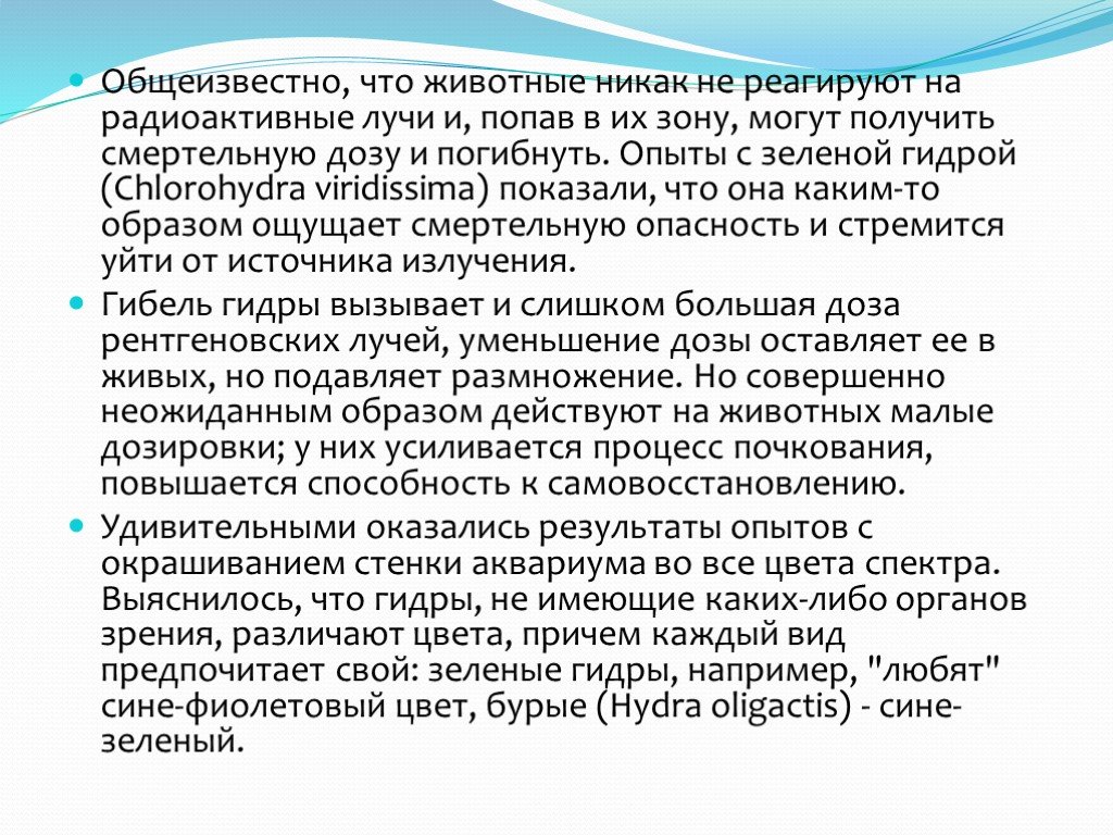 Что такое кракен только через тор